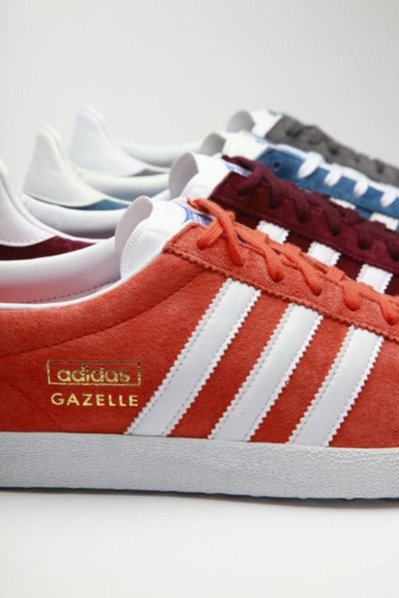 GAZELLE_2.jpg